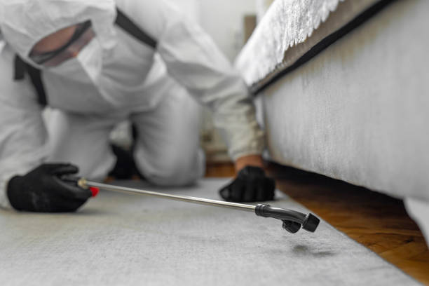 Professional Cockroach Control technician working in Saddle Rock, NY