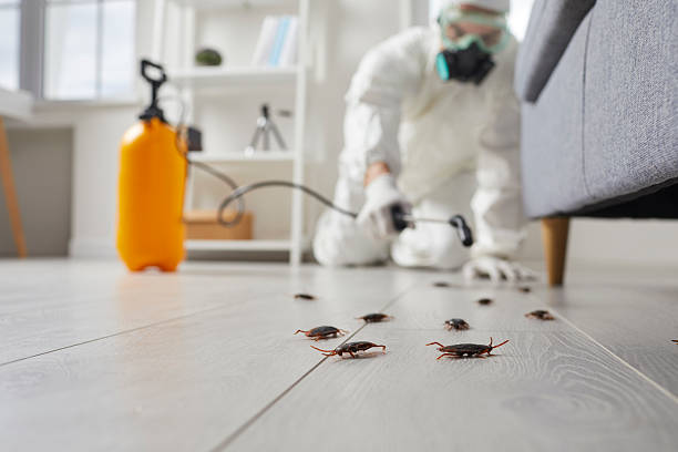 Trusted Fumigation Services service in Saddle Rock, NY - Nex Pest Control