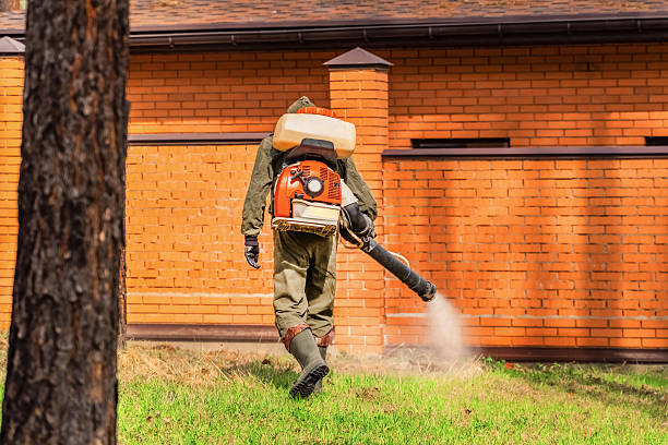 Trusted Bed Bug Control service in Saddle Rock, NY - Nex Pest Control